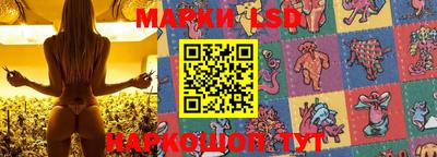 МДПВ Дубна