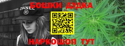 МДПВ Дубна